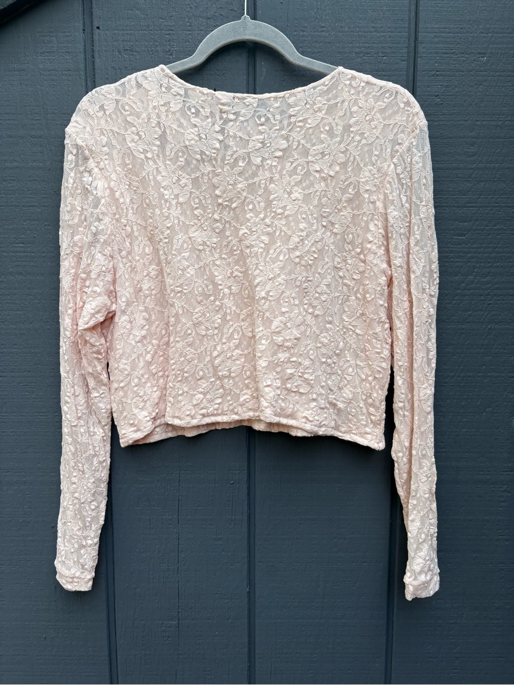 Vintage Pale Pink Lace Long-Sleeve Crop Top - Picture 4 of 4